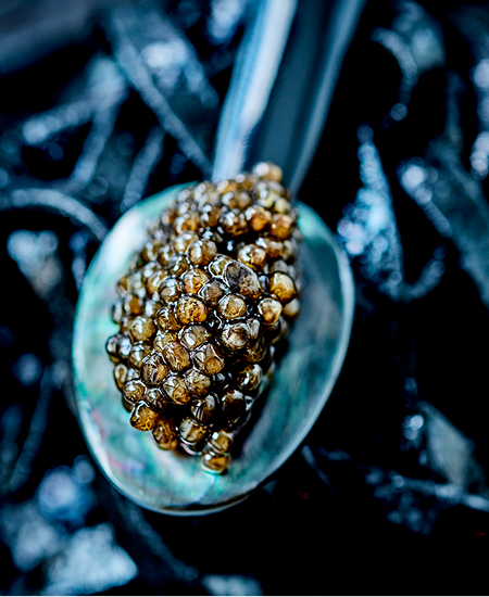 Caviar